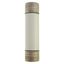 Oil fuse-link, medium voltage, 40 A, AC 3.6 kV, BS2692 F01, 254 x 63.5 mm, back-up, BS, IEC, ESI, with striker thumbnail 22