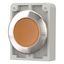 Illuminated pushbutton actuator, RMQ-Titan, flat, maintained, orange, blank, Front ring stainless steel thumbnail 9