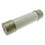 Oil fuse-link, medium voltage, 45 A, AC 12 kV, BS2692 F01, 254 x 63.5 mm, back-up, BS, IEC, ESI, with striker thumbnail 29