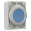 Pushbutton, RMQ-Titan, Flat, maintained, Blue, Blank, Metal bezel thumbnail 7