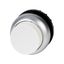 Pushbutton, RMQ-Titan, Extended, momentary, White, Blank, Bezel: titanium thumbnail 2