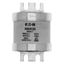 Fuse-link, low voltage, 560 A, AC 660 V, BS88, 74 x 112 mm, gL/gG, BS thumbnail 5