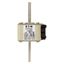 Fuse-link, high speed, 550 A, AC 690 V, size 2, 61 x 77 x 135 mm, aR, IEC, UL, single indicator thumbnail 23