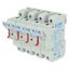 Fuse-holder, low voltage, 50 A, AC 690 V, 14 x 51 mm, 3P + neutral, IEC, with indicator thumbnail 15