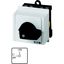 On-Off switch, T0, 20 A, service distribution board mounting, 2 contact unit(s), 3 pole, with black thumb grip and front plate thumbnail 6