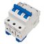 Miniature Circuit Breaker (MCB) AMPARO 10kA, B 63A, 3-pole thumbnail 7