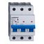 Miniature Circuit Breaker (MCB) AMPARO 6kA, B 50A, 3-pole thumbnail 1