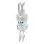 Utility fuse-link, low voltage, 160 A, AC 415 V, BS88/J, 31 x 110 mm, gL/gG, BS thumbnail 10