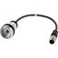 Pushbutton, Flat, momentary, 1 N/O, Cable (black) with M12A plug, 4 pole, 1 m, Without button plate, Bezel: titanium thumbnail 2
