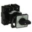 On-Off switch, P1, 40 A, rear mounting, 3 pole + N, with black thumb grip and front plate thumbnail 13