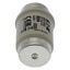 Fuse-link, low voltage, 80 A, AC 500 V, D4, gR, DIN, IEC, fast-acting thumbnail 12