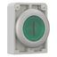 Illuminated pushbutton actuator, RMQ-Titan, Flat, momentary, green, inscribed 1, Metal bezel thumbnail 8