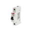 S201P-K25 Miniature Circuit Breaker - 1P - K - 25 A thumbnail 3