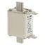 Fuse-link, high speed, 160 A, AC 660 V, DIN 00, 30 x 60 x 78 mm, aR, DIN, IEC, single indicator thumbnail 23