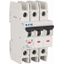 Miniature circuit breaker (MCB), 25 A, 3p, characteristic: B thumbnail 3