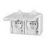 5598-2069 B Double socket outlet with earthing pins, with hinged lids, IP 44, for multiple mounting, with surge protection thumbnail 5
