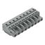 1-conductor female connector CAGE CLAMP® 2.5 mm² gray thumbnail 1