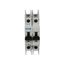 Miniature circuit breaker (MCB), 63 A, 2p, characteristic: D thumbnail 21