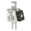 Fuse-link, high speed, 50 A, AC 690 V, compact DIN 1, 45 x 59 x 104 mm, aR, DIN, IEC, single indicator thumbnail 3