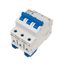 Miniature Circuit Breaker (MCB) AMPARO 10kA, D 50A, 3-pole thumbnail 12
