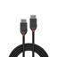 2m DisplayPort 1.2 Cable, Black Line DisplayPort male to male thumbnail 2