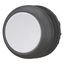 Pushbutton, RMQ-Titan, Flat, momentary, gray, Blank, Bezel: black thumbnail 4