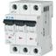 Miniature circuit breaker (MCB), 4 A, 3p, characteristic: B, 6 kA thumbnail 5