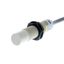 Proximity sensor, capacitive, M18, unshielded, 8 mm, AC, 2-wire, NO, 2 thumbnail 4