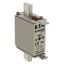 Fuse-link, LV, 100 A, AC 500 V, NH000, gL/gG, IEC, dual indicator, live gripping lugs thumbnail 19