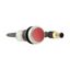 Illuminated pushbutton actuator, classic, flat, maintained, 1 N/C, red, 24 V AC/DC, cable (black) with m12a plug, 4 pole, 0.2 m thumbnail 10