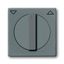1740-803 CoverPlates (partly incl. Insert) Busch-axcent®, solo® grey metallic thumbnail 1