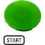 Button plate, flat green, START thumbnail 5