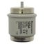 Fuse-link, low voltage, 125 A, AC 500 V, D5, 56 x 46 mm, gR, DIN, IEC, fast-acting thumbnail 7