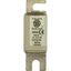 Fuse-link, high speed, 200 A, AC 660 V, Size 00, 30 x 67 x 100 mm, aR, IEC, single indicator thumbnail 10