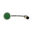Pushbutton, flat, maintained, green, 1 N/O, with cable 1m and M12A plug thumbnail 14