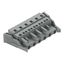 1-conductor female connector CAGE CLAMP® 2.5 mm² gray thumbnail 1