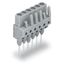 Female connector for rail-mount terminal blocks 0.6 x 1 mm pins straig thumbnail 5