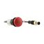 Indicator light, Flat, Cable (black) with M12A plug, 4 pole, 1 m, Lens Red, LED Red, 24 V AC/DC thumbnail 15