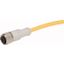 Connection cable, 4p, AC, coupling M12 flat, open end, L=2m thumbnail 1