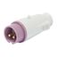 STRAIGHT PLUG - IP44 - 2P 32A 20-25V 50-60HZ - VIOLET - n.r. - SCREW WIRING thumbnail 2