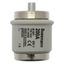 Fuse-link, low voltage, 200 A, AC 500 V, D5, 56 x 46 mm, gL/gG, DIN, IEC, time-delay thumbnail 10