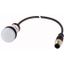 Indicator light, Flat, Cable (black) with M12A plug, 4 pole, 1 m, Lens white, LED white, 24 V AC/DC thumbnail 1