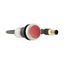 Illuminated pushbutton actuator, Flat, momentary, 1 NC, Cable (black) with M12A plug, 4 pole, 0.2 m, LED Red, red, Blank, 24 V AC/DC, Bezel: titanium thumbnail 11