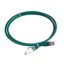 Patch cord RJ45 category 6A S/FTP shielded LSZH green 1 meter thumbnail 2