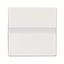 6815-84-101 CoverPlates (partly incl. Insert) Studio white thumbnail 2