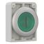 Illuminated pushbutton actuator, RMQ-Titan, Flat, maintained, green, inscribed, Metal bezel thumbnail 8