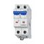 Miniature Circuit Breaker (MCB) C, 50A, 2-pole, 10kA thumbnail 2