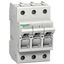 fuse-switch disconnector D01 - 3 poles - 16 A thumbnail 4
