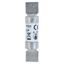 Fuse-link, LV, 4 A, AC 440 V, BS88/F1, 15 x 62 mm, gL/gG, BS thumbnail 6