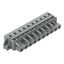 1-conductor female connector CAGE CLAMP® 2.5 mm² gray thumbnail 1